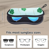 Sunglasses Case
